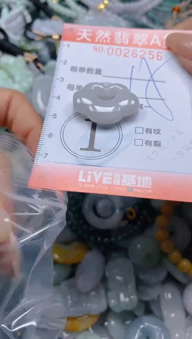 翡翠未镶嵌颈饰闪购0027256