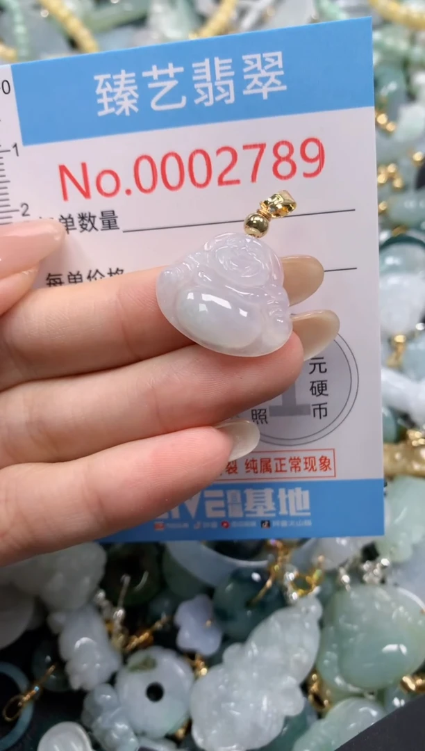 颈饰未镶嵌翡翠2789