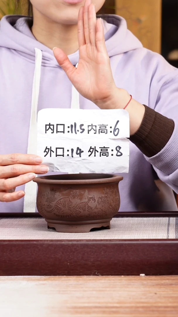 紫砂花盆紫泥刻绘猫咪迷你矮圆盆一只无托