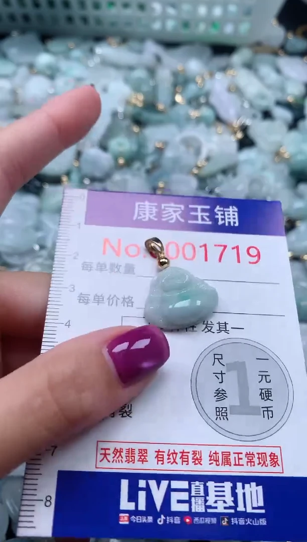 颈饰未镶嵌翡翠1719