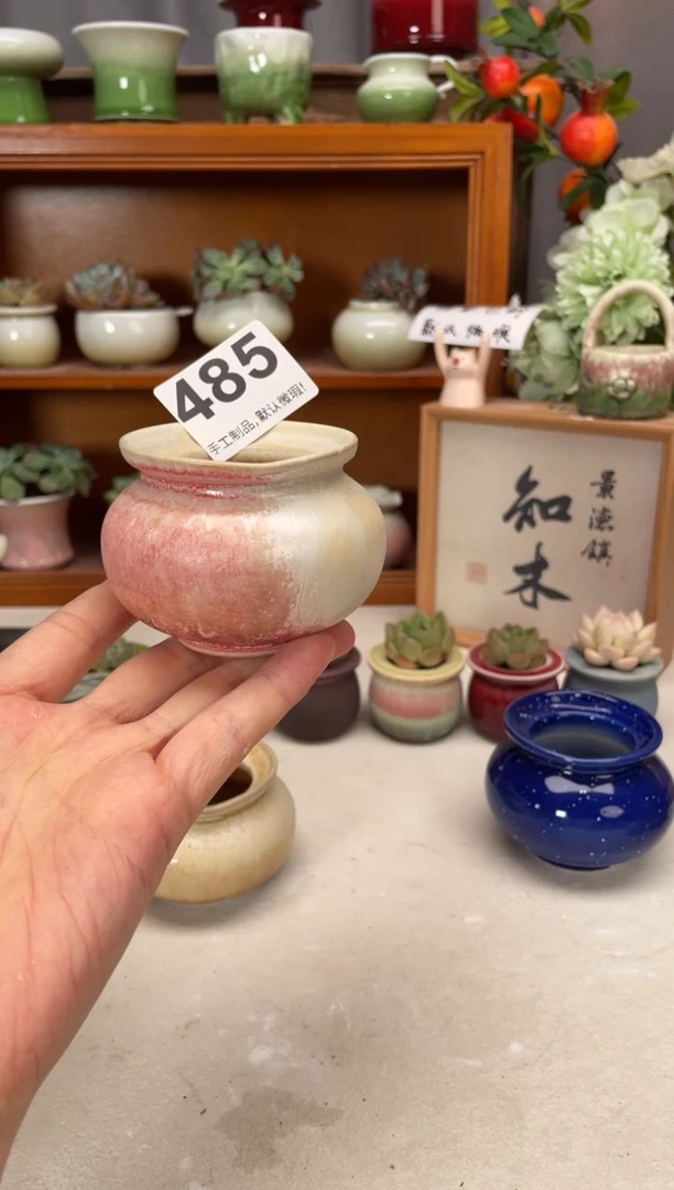 瓷片485小芳直播编号