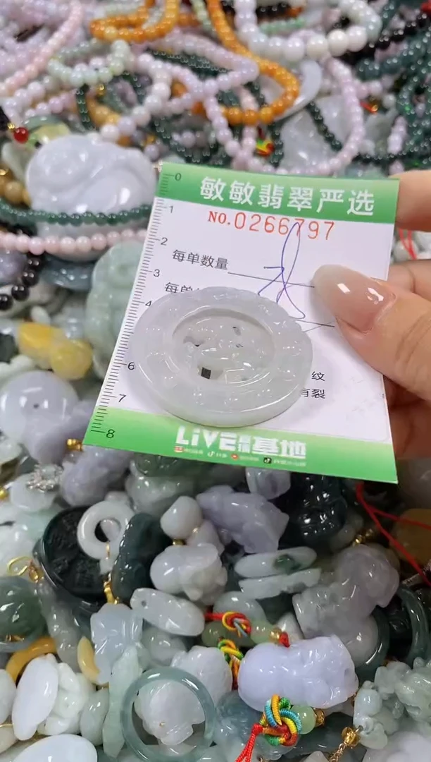 翡翠未镶嵌颈饰闪购0266797多样性发其一