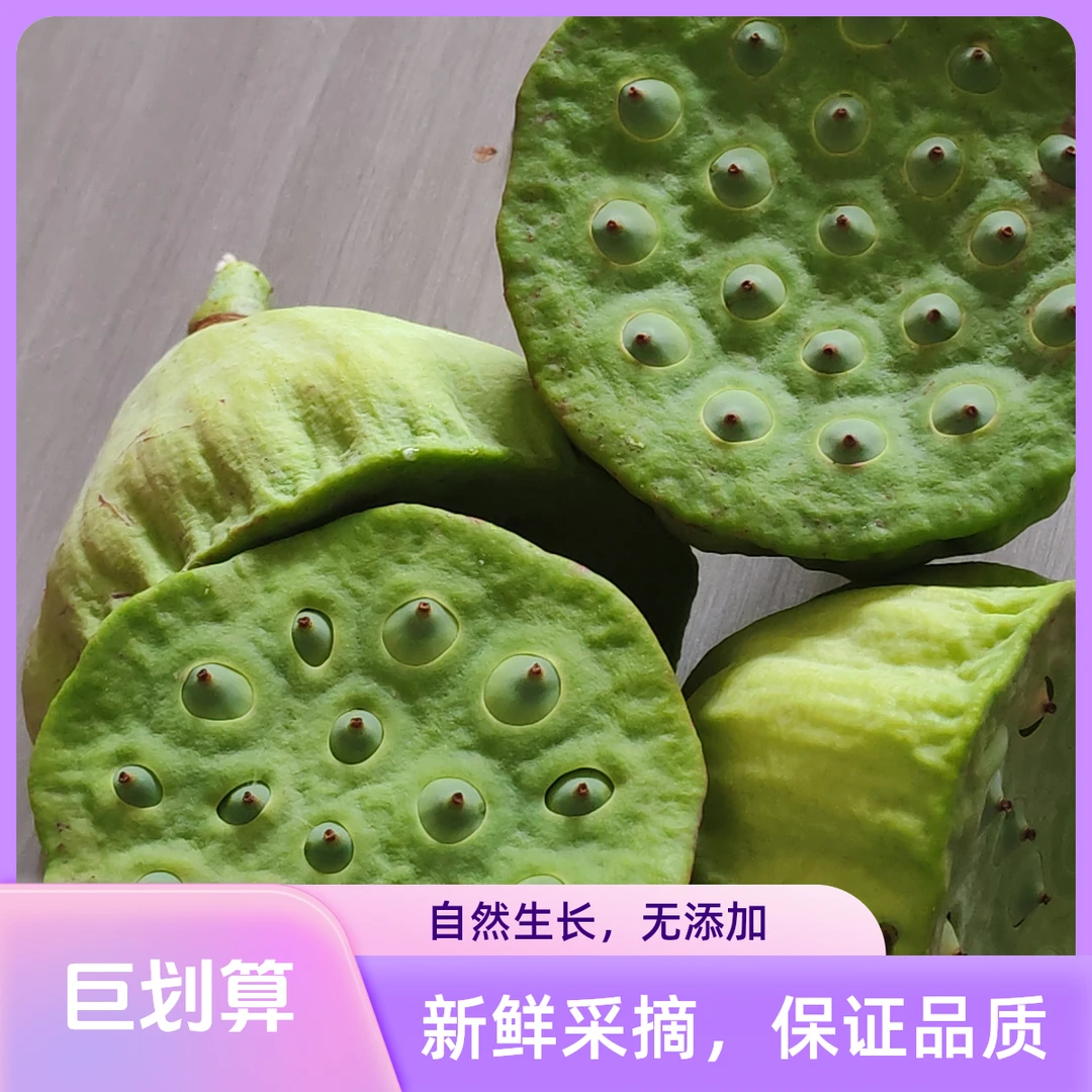 新鲜现摘莲蓬当季应季水果清甜可口可生吃莲子米