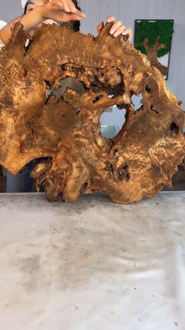 香杉木木头款杉木瘤挂件【原料】007