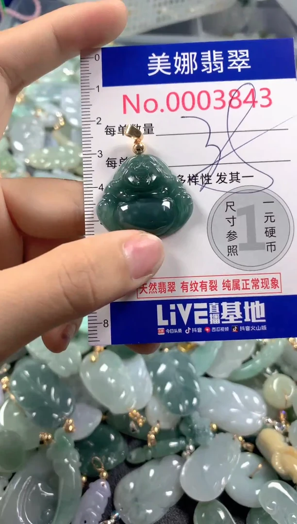 颈饰未镶嵌翡翠3843