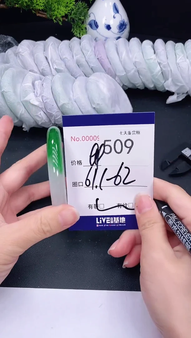 未镶嵌手镯翡翠509