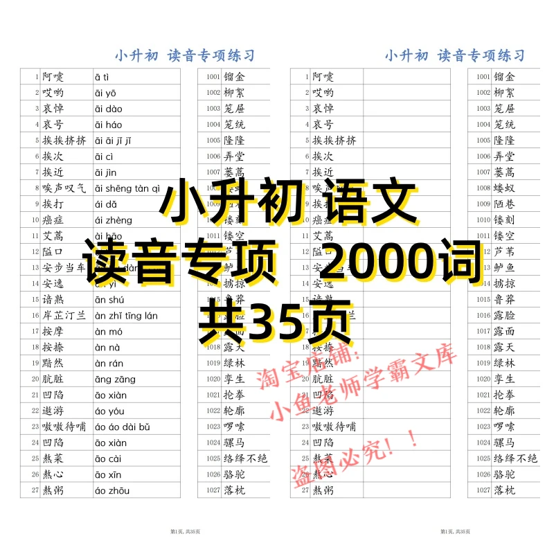 c4小升初语文字音词语读音专项练习电子版PDF