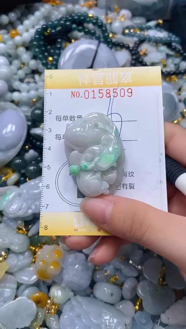 翡翠未镶嵌颈饰闪购0158509