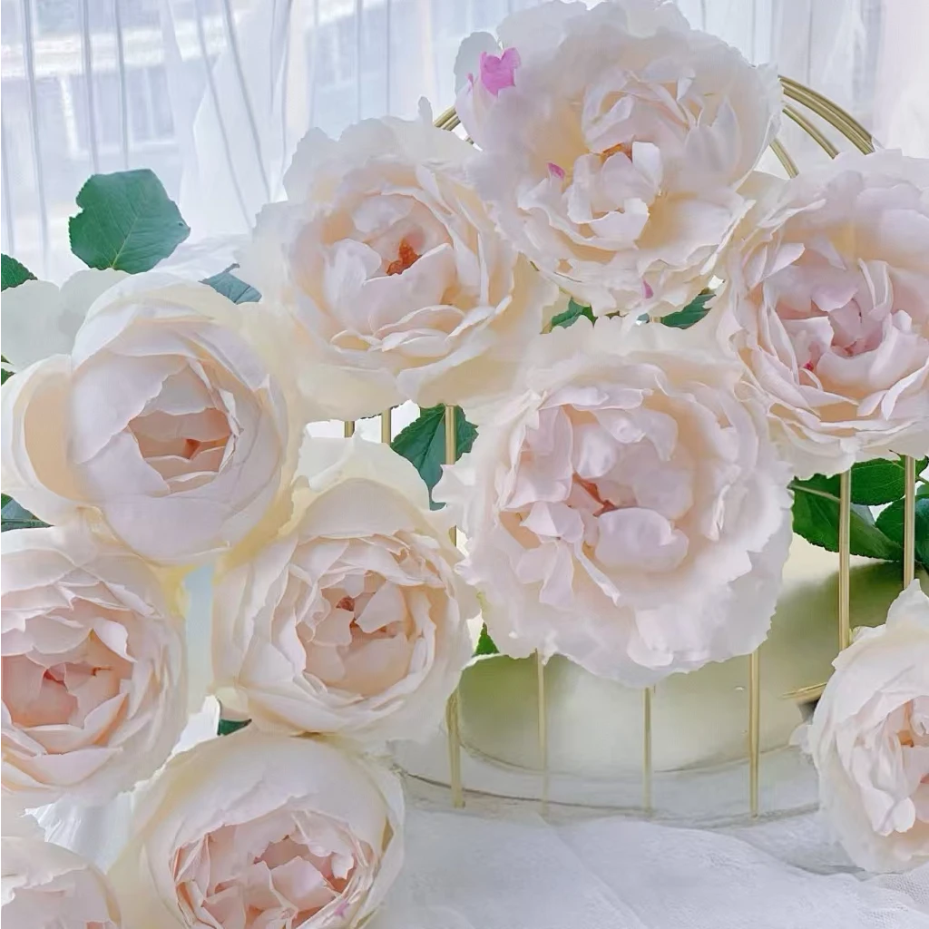 【独鬏鬏优选】A级鲜花 [伊芙钱特玛丽] 玫瑰 顺丰冷链配送