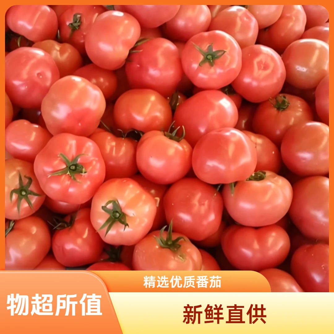 ⑤① •普罗旺斯 500g