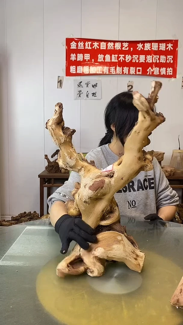 香榧木彭金丝红木 羊蹄甲