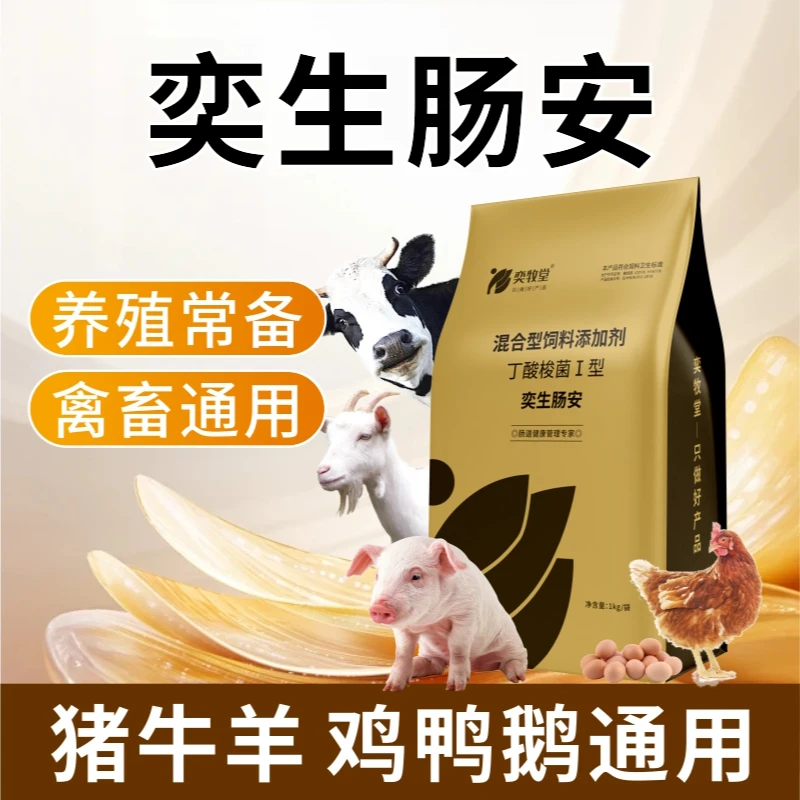 禽类用肠道奕生肠安鸡鸭鹅鸽鹌鹑肠炎绿便白便黄便