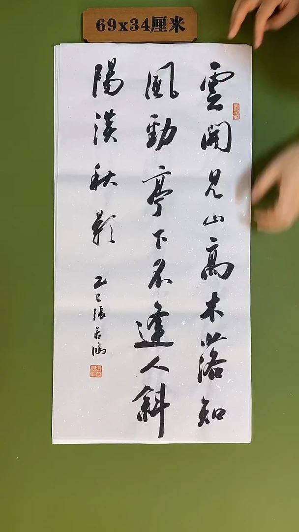 书法书法 张若鸿 尺寸69cm*34cm