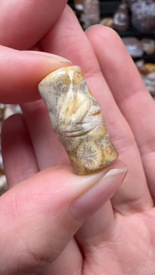 颈饰未镶嵌硅化珊瑚（珊瑚玉）281