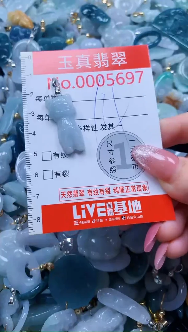 翡翠未镶嵌吊坠(不含链)5697