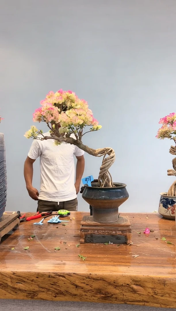 【闪购商品】aa977