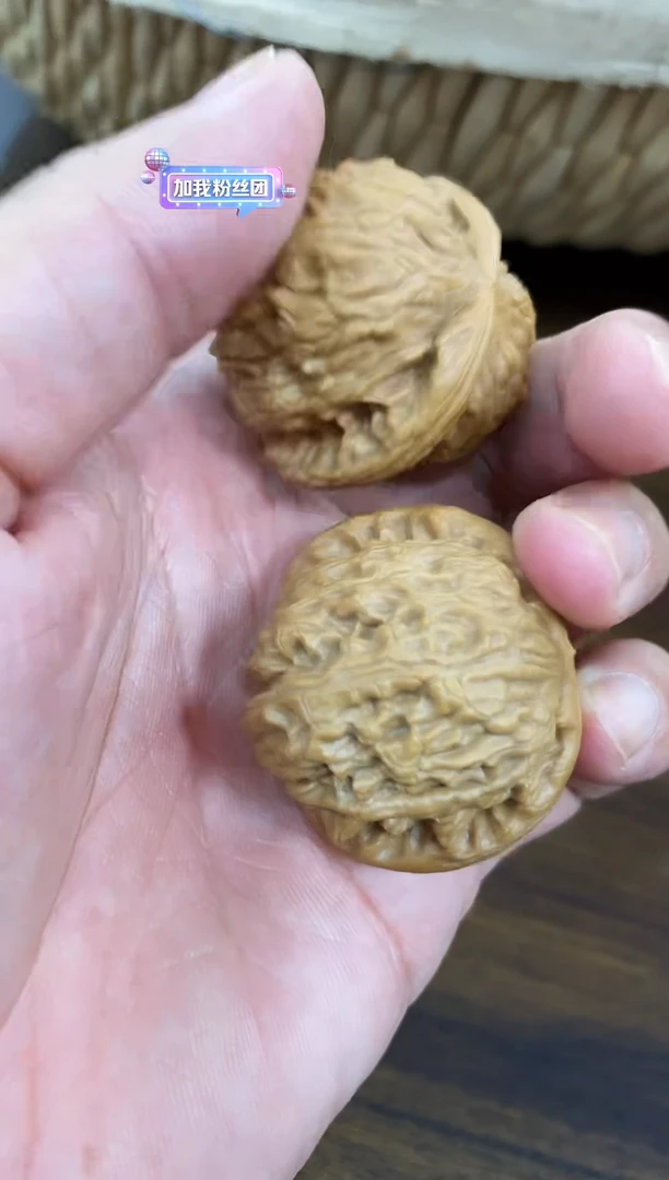 文玩核桃把件微修白狮子40左右