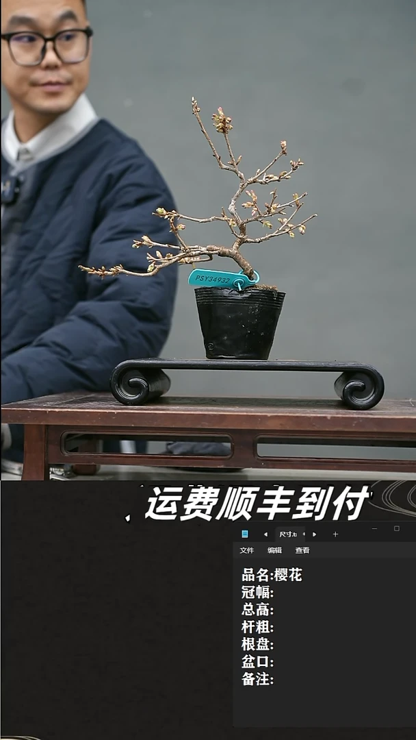 【闪购商品】2 樱花