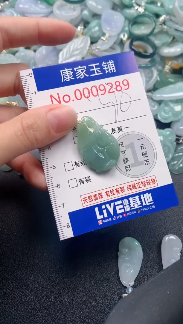 颈饰未镶嵌翡翠9289