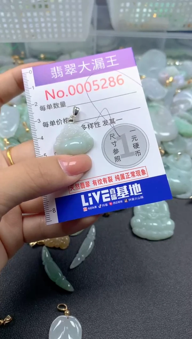 颈饰未镶嵌翡翠5286