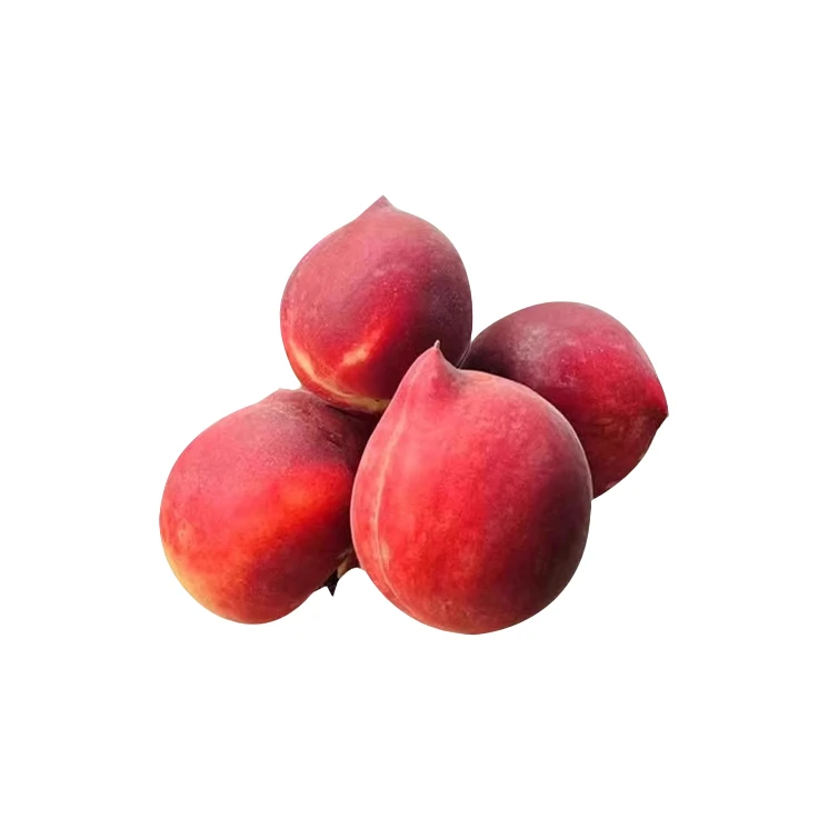 新鲜水果 红樱蜜桃 2斤左右/份  一筐10斤山东省