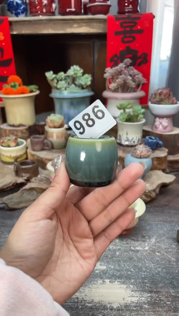 【闪购商品】摆件986知木小芳花盆