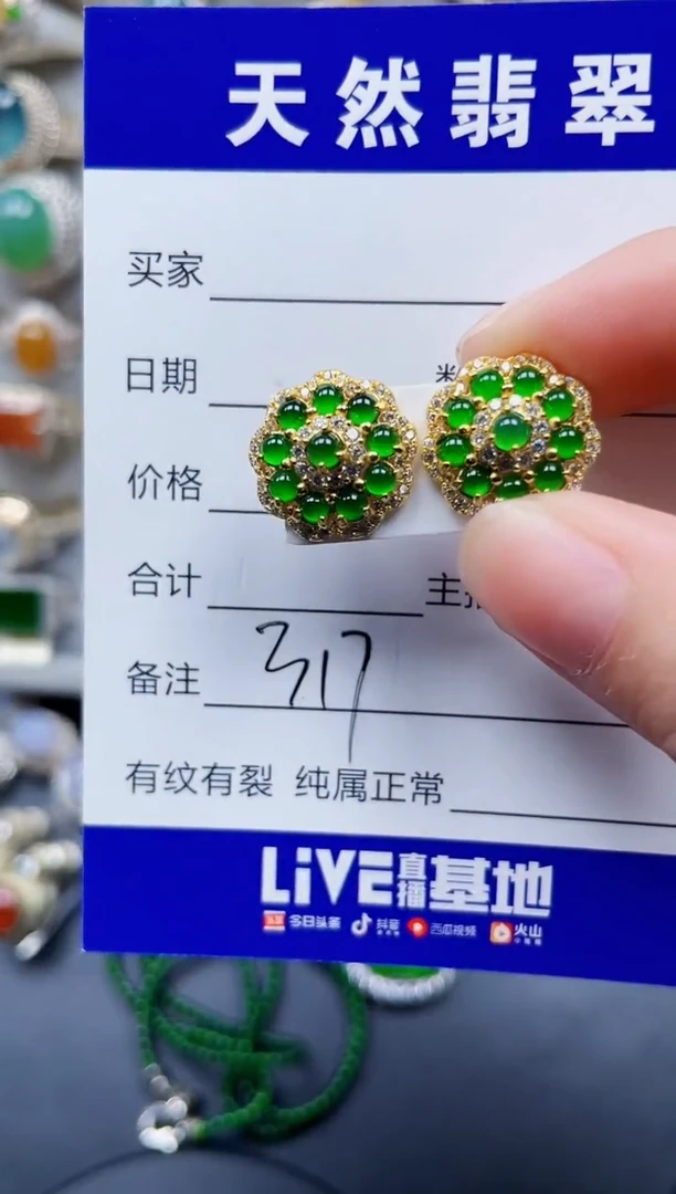 银S925镶嵌翡翠耳饰317