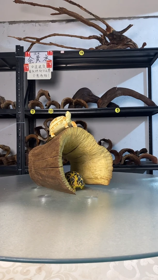 蛋*迷鱼缸爬宠造景素材298