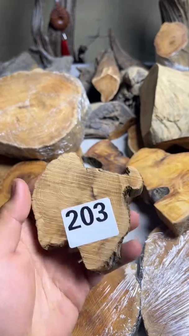 柏木（崖柏）太行崖柏xp