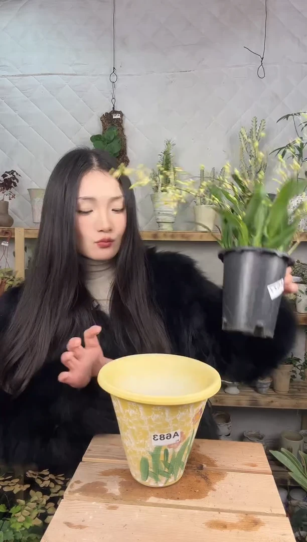 无花朵编号 683  景德镇手绘花盆口18