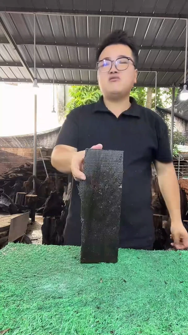 金丝楠小叶桢楠132