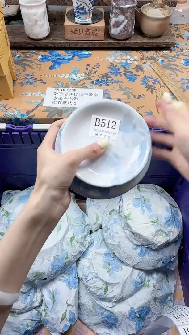 瓷片海**骨                B512