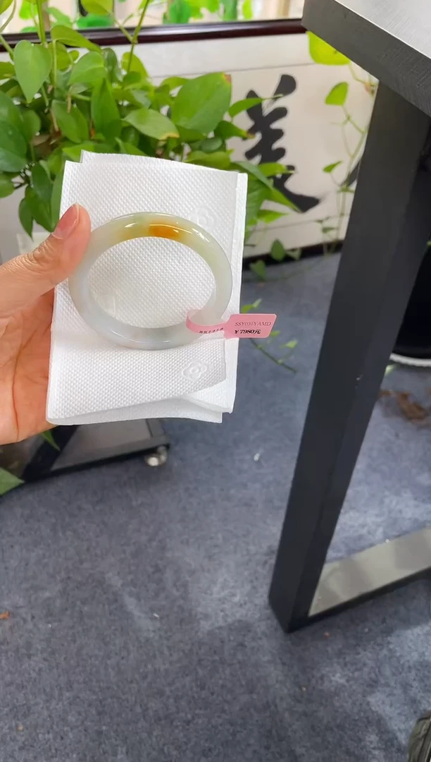 未镶嵌手镯翡翠231-56.6