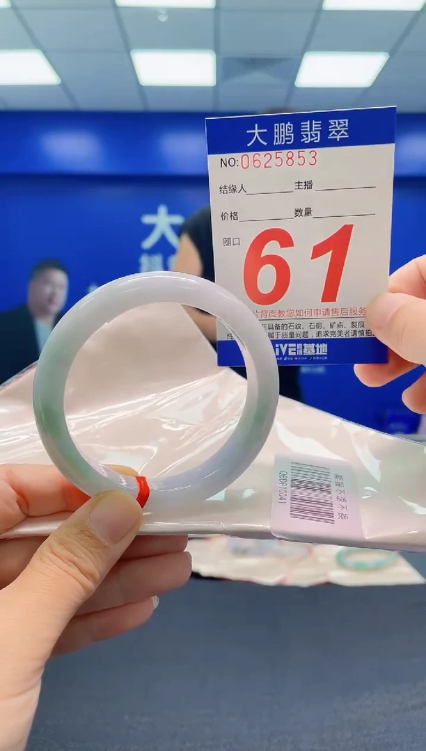 未镶嵌手镯翡翠AAAAAAAAA