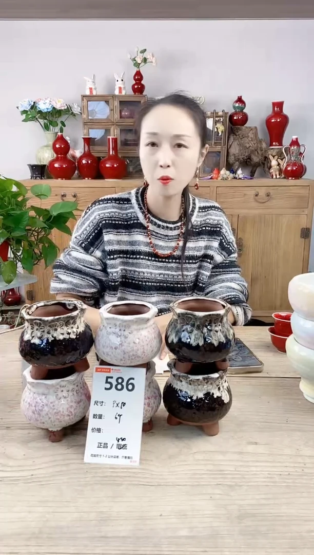 晴好园艺直播编号586
