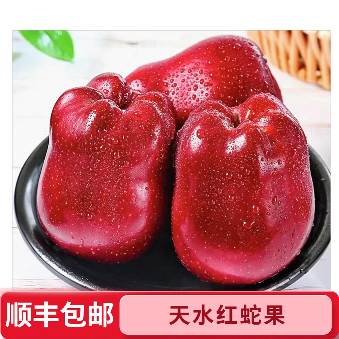 （顺丰包邮）甘肃天水精品红蛇果4.5-9斤装新鲜采摘老人香甜多汁