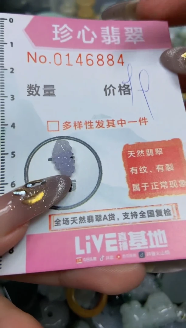 【闪购商品】翡翠颈饰未镶嵌闪购0146884