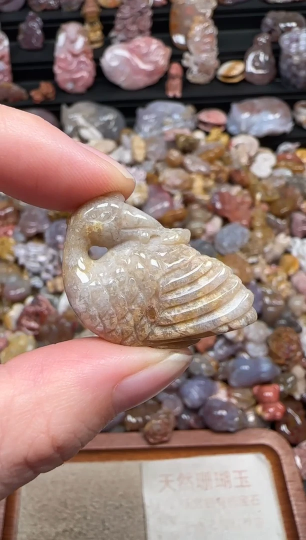 颈饰未镶嵌硅化珊瑚（珊瑚玉）795