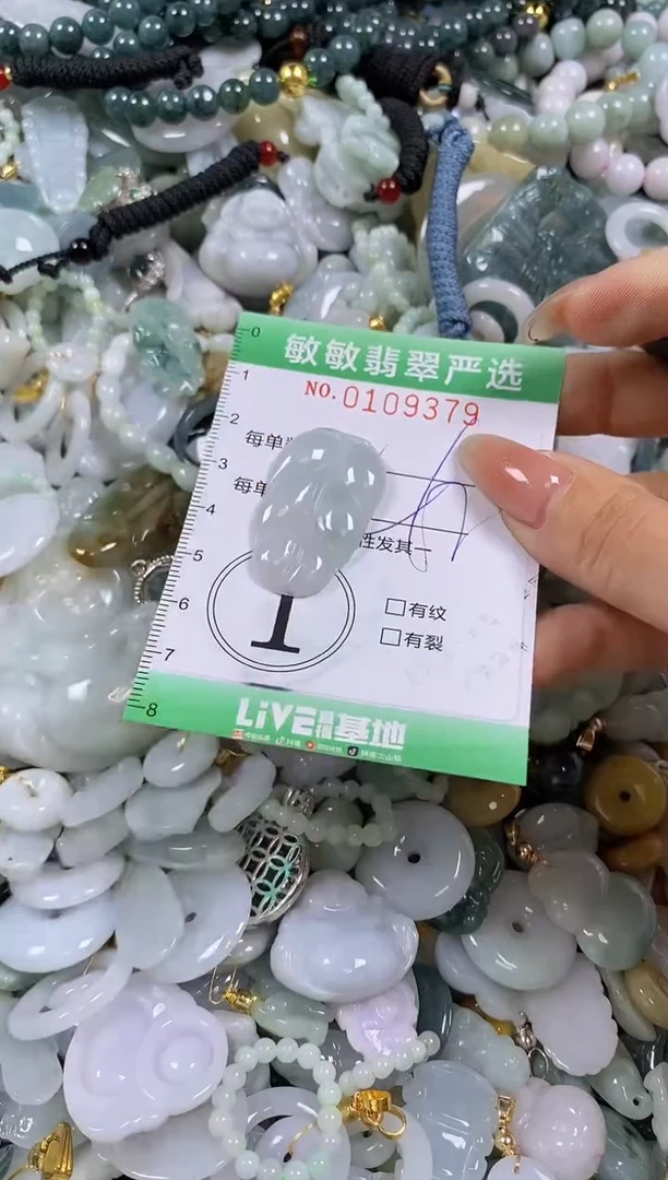 【闪购商品】翡翠颈饰未镶嵌闪购0109379