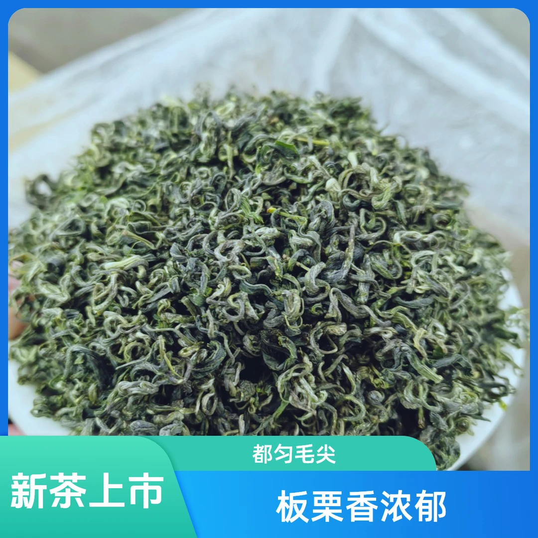 【仙茶】2025年新款新茶都匀毛尖嫩芽绿茶云雾茶250克罐装