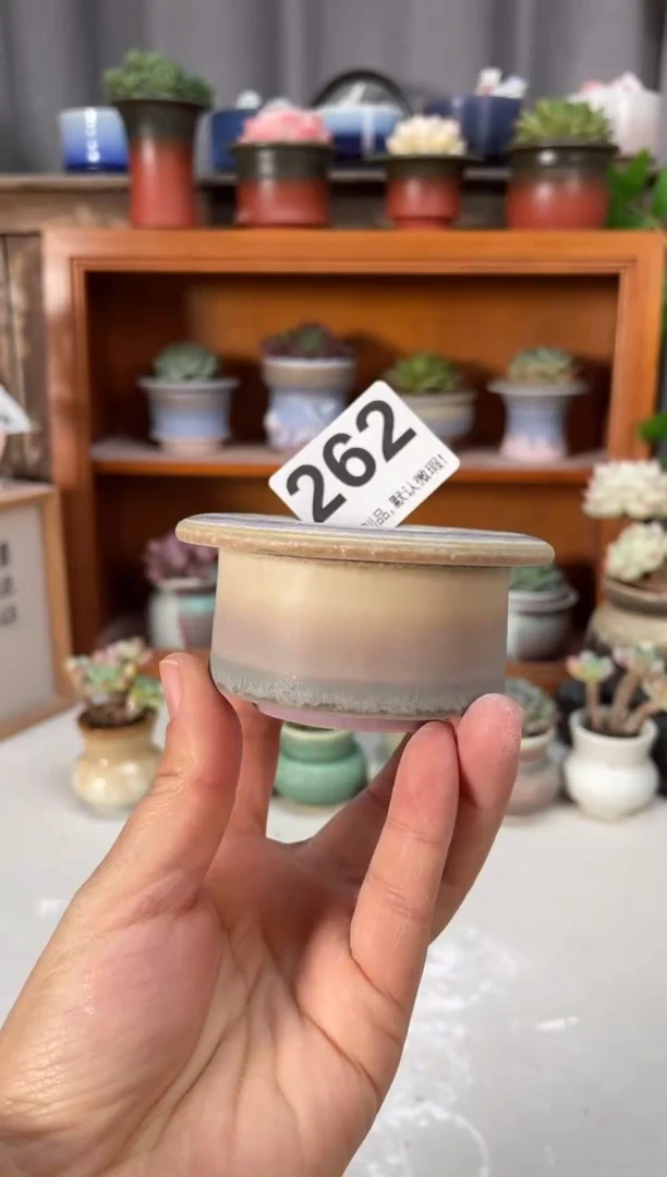 瓷片262小芳直播编号