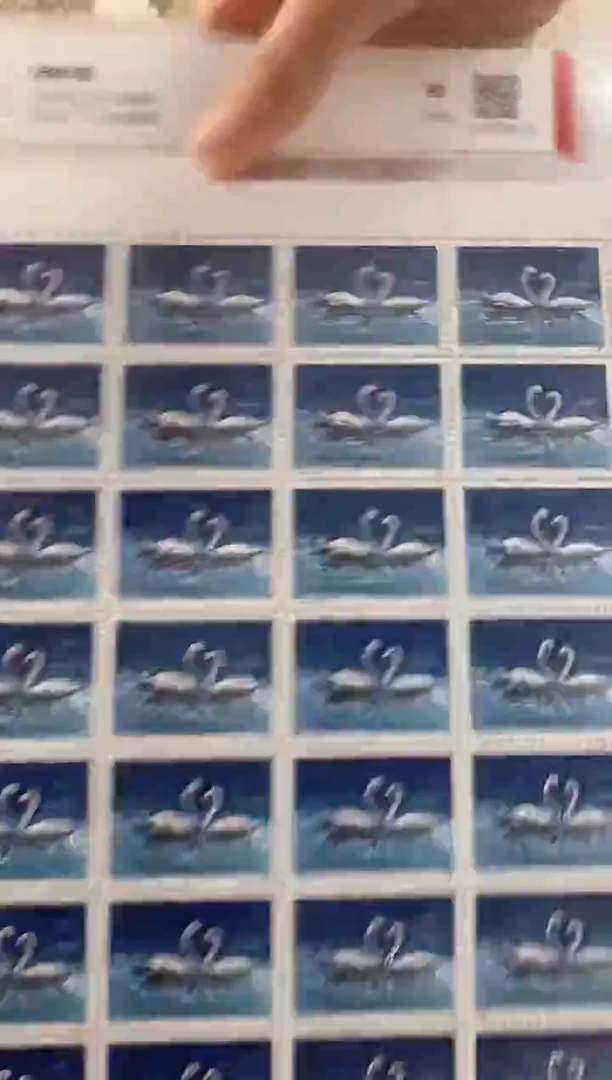 《天鹅》 大版 CSGS评级 邮票