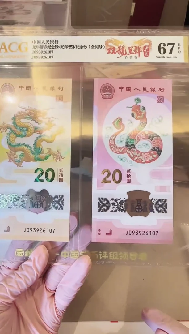 塑料2025龙蛇全同号一对啊啊啊爱藏