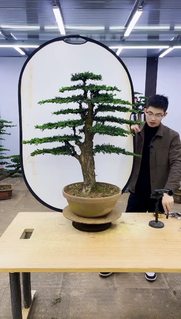 无花朵000000000000000000000