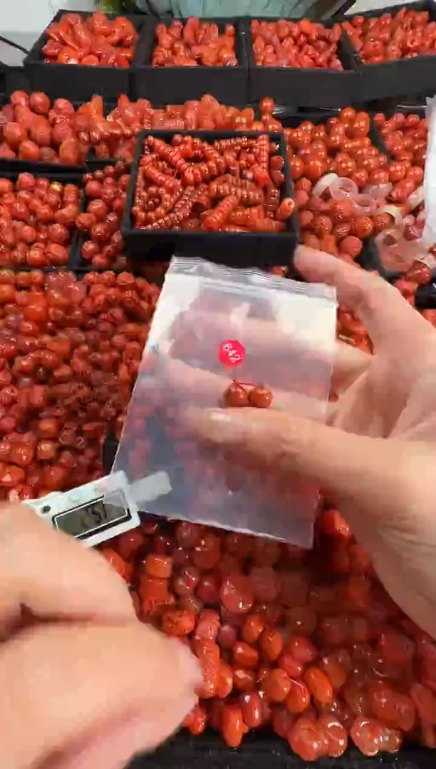 颈饰未镶嵌南红玛瑙1