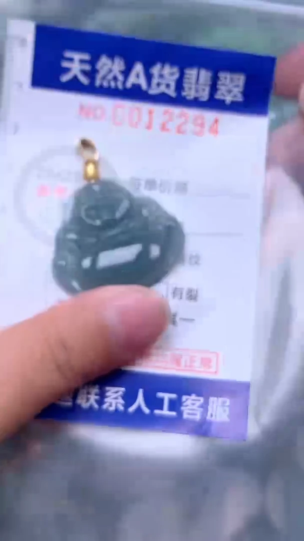 吊坠(赠链)未镶嵌翡翠1