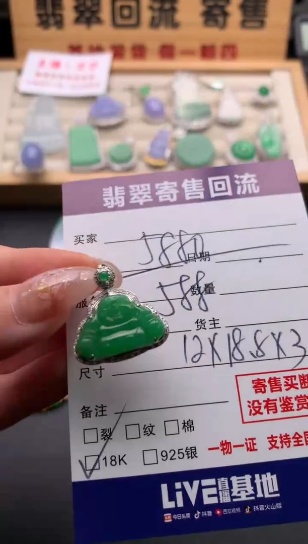 翡翠18K金镶嵌颈饰10135045