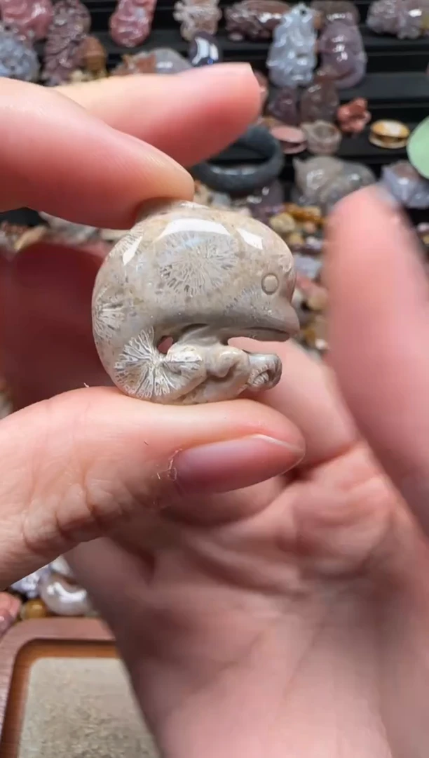 颈饰未镶嵌硅化珊瑚（珊瑚玉）723