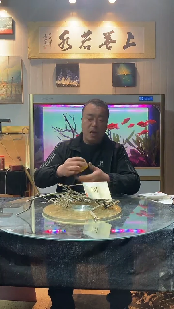 101号天然黄栎木1组