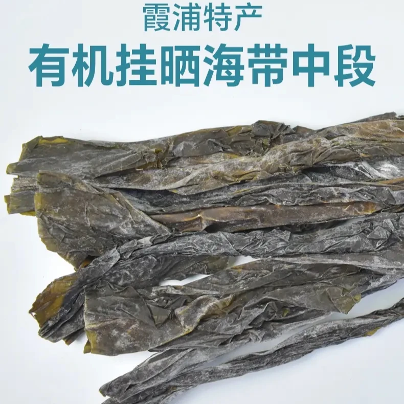 霞浦泡发有机海带中段500g*1口感爽脆凉拌炖肉炖汤